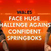 Wales Face Huge Challenge Against Confident Springboks
