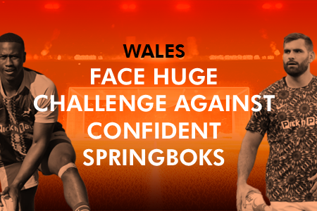 Wales Face Huge Challenge Against Confident Springboks